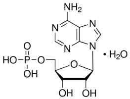 structure of Adenosine 5'-monophosphate CAS 61-19-8