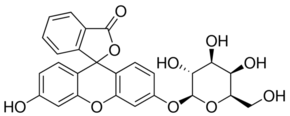 structure of FLUORESCEIN MONO-BETA-D-GALACTOPYRANOSIDE CAS 102286-67-9