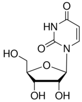 structure of Uridine CAS 58-96-8