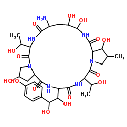 Structure of Echinocandin B CAS 79411-15-7