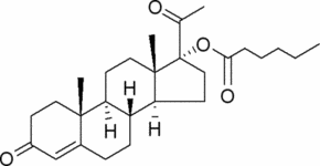Structure of Hydroxyprogesteronecaproate CAS 630-56-8